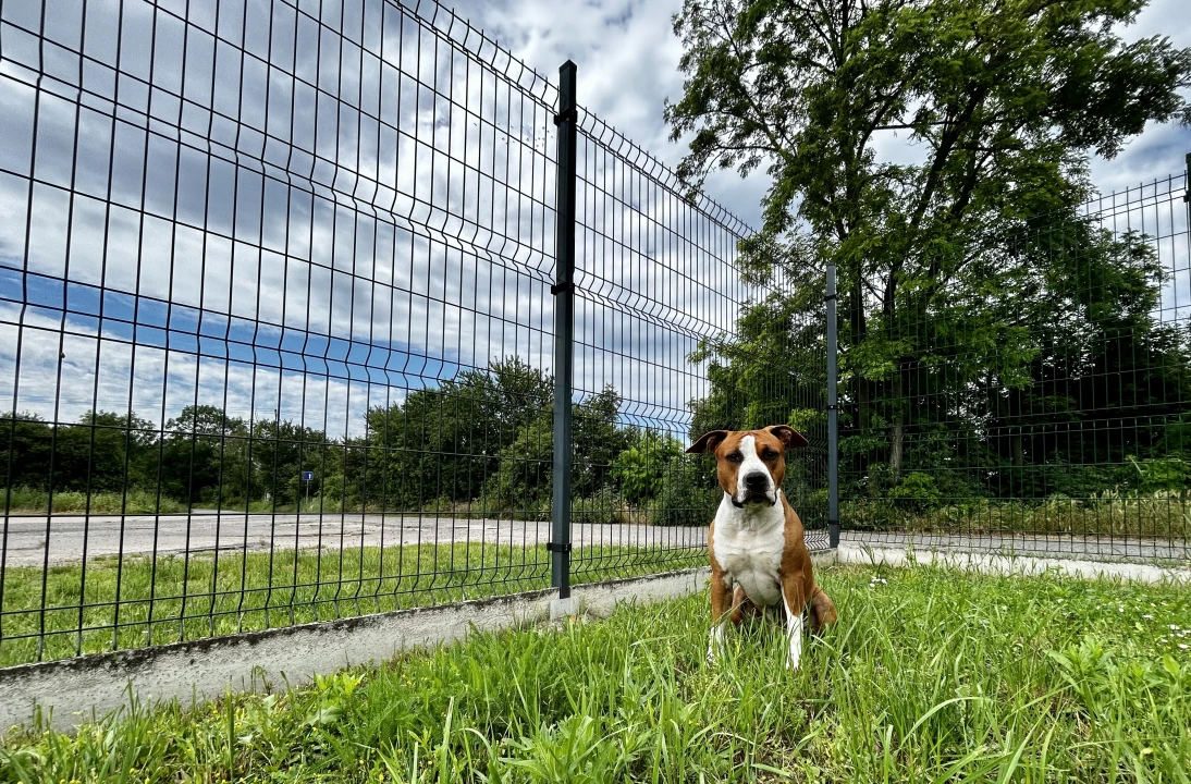 Drôtený plot, montáž a inštalácia